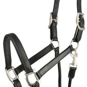 Gatsby Adj Pad Leather Halter