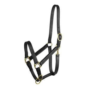 Gatsby Adj Turnout Halter with Snap