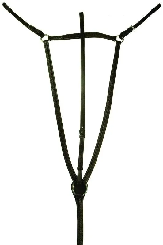 Gatsby Braided Raised Breastplate