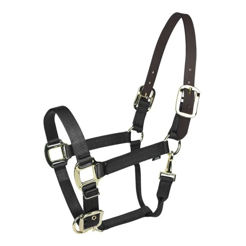 Gatsby Gold Nylon Breakaway Halter - Image 2