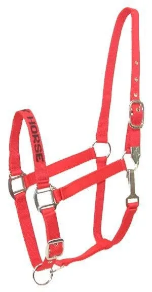 Gatsby I LOVE MY HORSE Nylon Halter - Image 2