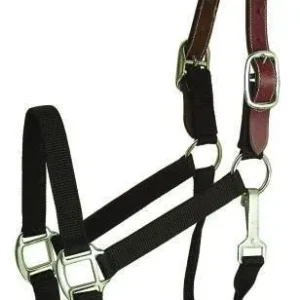 Gatsby Nylon Breakaway Halter 12Pc Cob/Hrs/Ovrsz