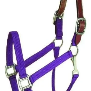 Gatsby Nylon Breakaway Halter with Snap 12Pc Horse