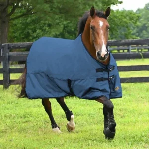 Gatsby Original Lite Waterproof Turnout Sheet 69"