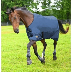 Gatsby Original Lite Waterproof Turnout Sheet 69"