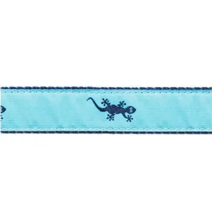 Gecko -- Navy on Light Teal
