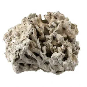 Genuine Fiji Pukani Dry Live Rock (10 lb Box) - Marco Rocks