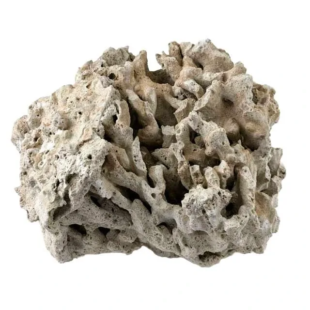 Genuine Fiji Pukani Dry Live Rock (20 lb Box) - Marco Rocks