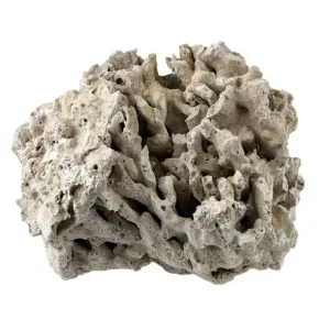 Genuine Fiji Pukani Dry Live Rock (by the lb) - Marco Rocks
