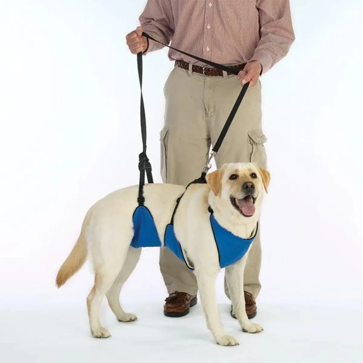 GG Lift & Lead 4-in-1 L Blue - Image 2