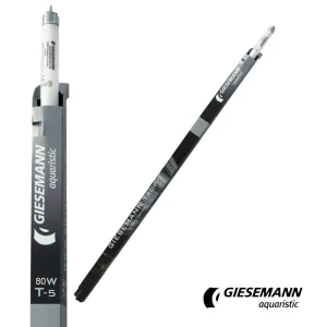 Giesemann 60" Tropic T5 Bulb, 80W
