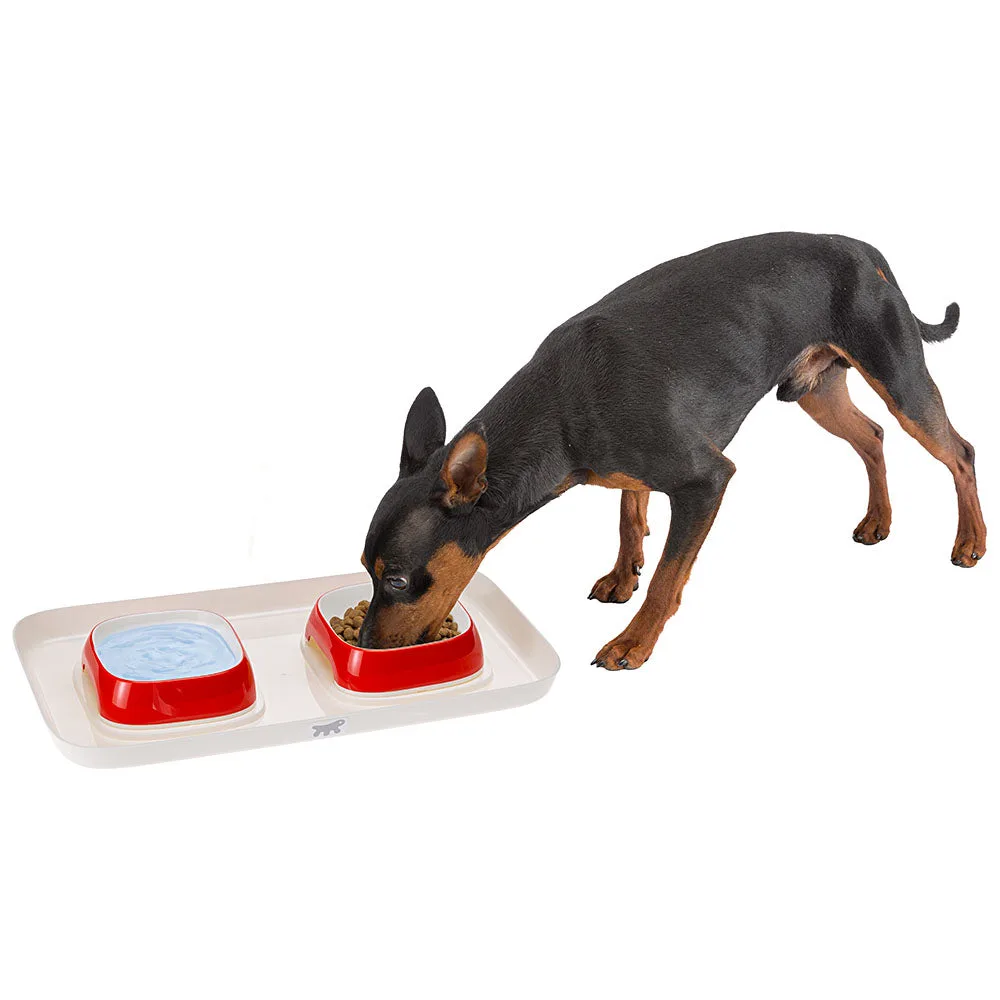 GLAM TRAY - Image 2