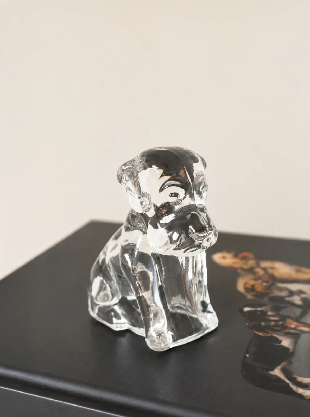 GLASS LABRADOR RETRIEVER PUPPY