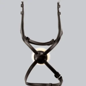 Glorioso Mexican Grackle Noseband Brown