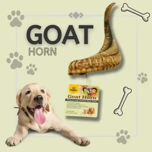 Goat Horns Natural Chew - Healthy, Nutritious Treat for Dogs