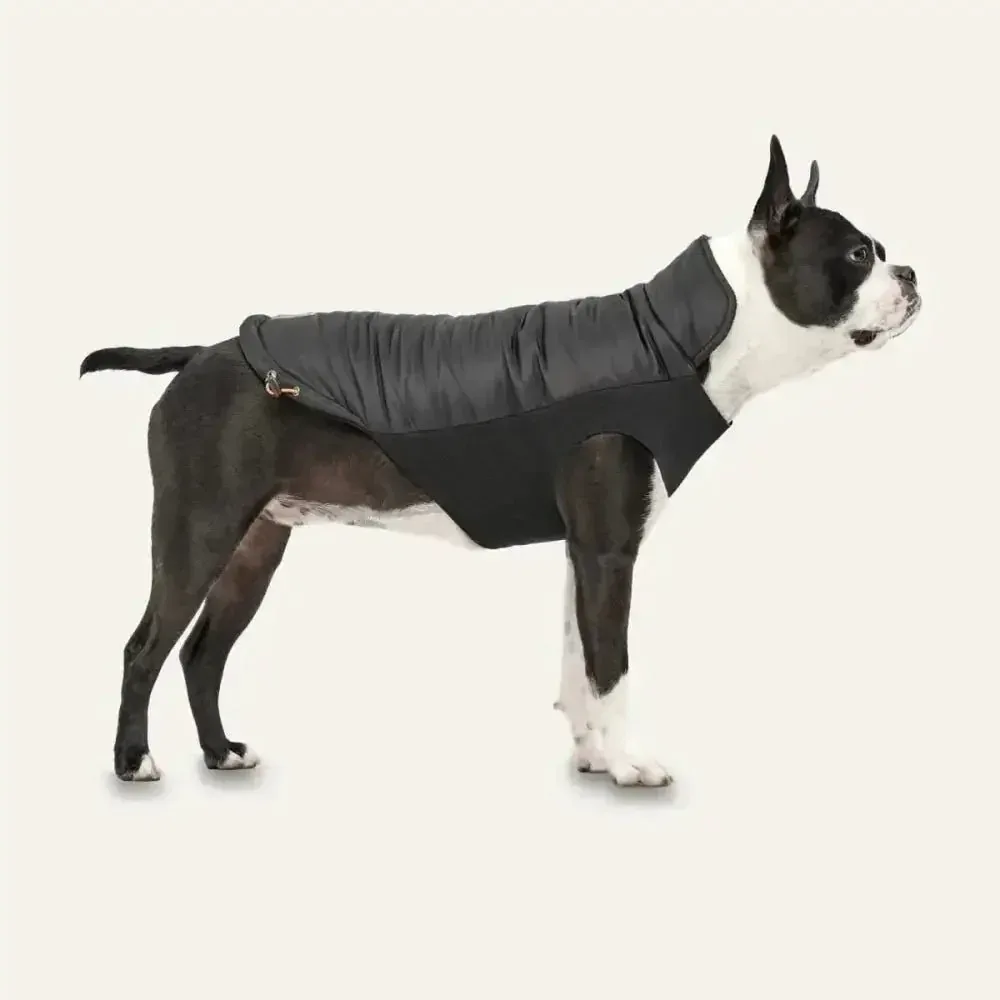 Goo-Eez Mock Neck Signature Dog Jacket