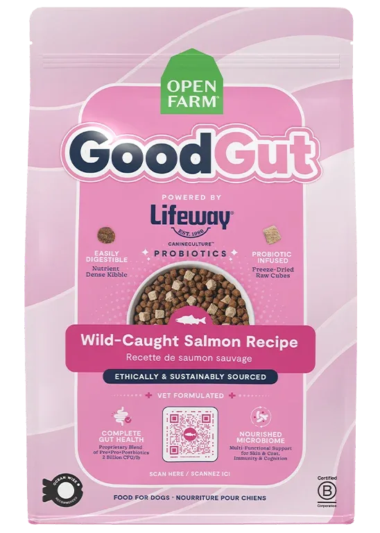GoodGut Wild-Caught Salmon Dog Kibble