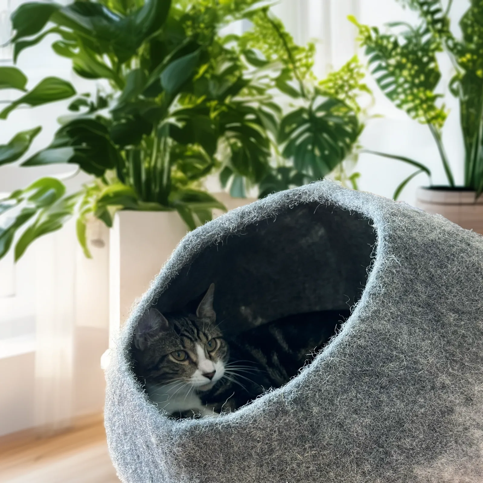 Graphite Ombre Organic Wool Cat Cave - Pet Bed - Image 2