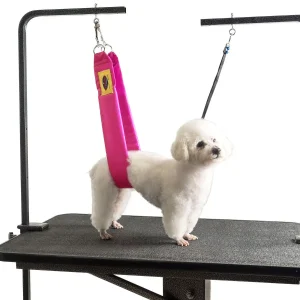 Grooming Safety by Jessica - The Belly Band