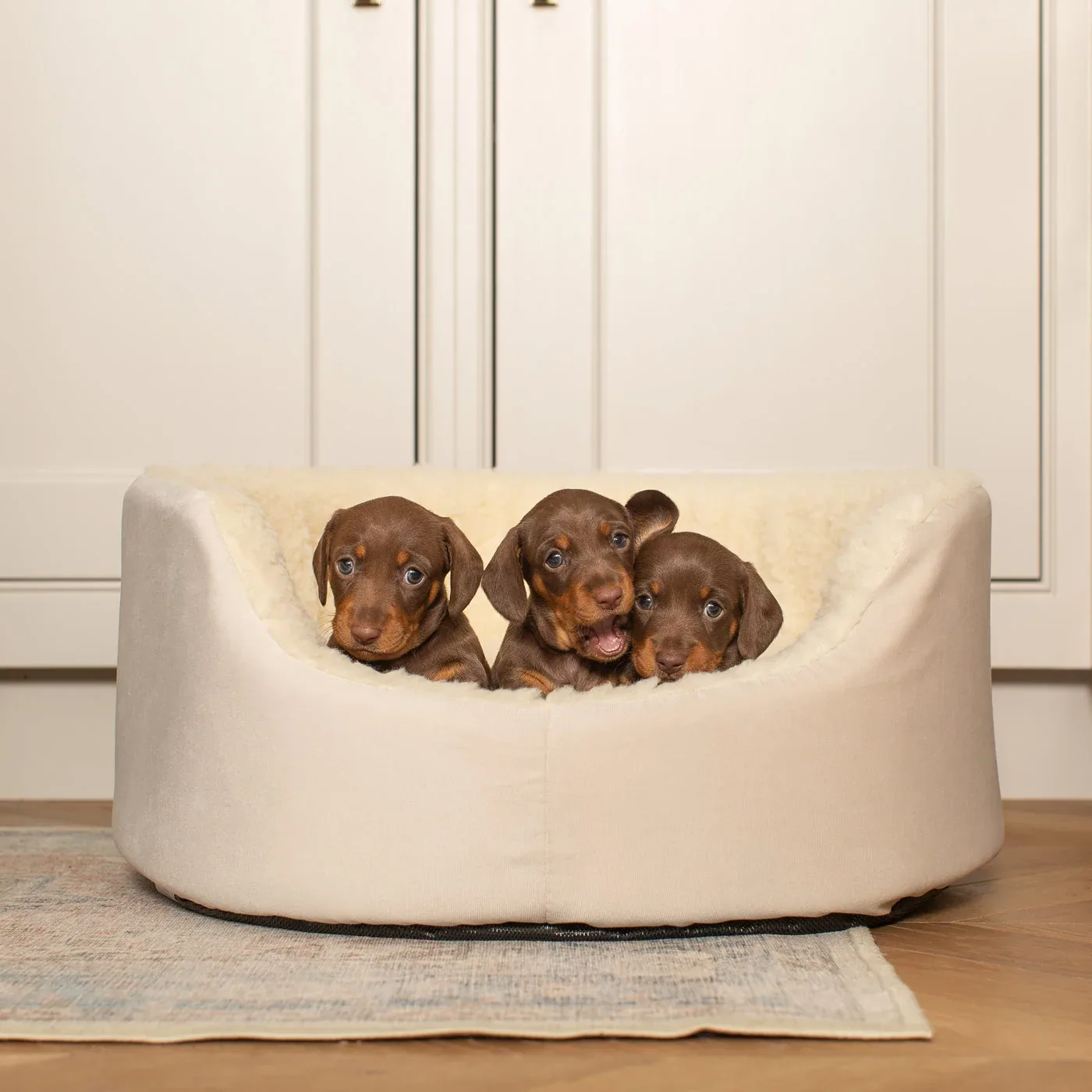 Grow With Me Puppy Bed in Cream by Lords & Labradors - Image 2