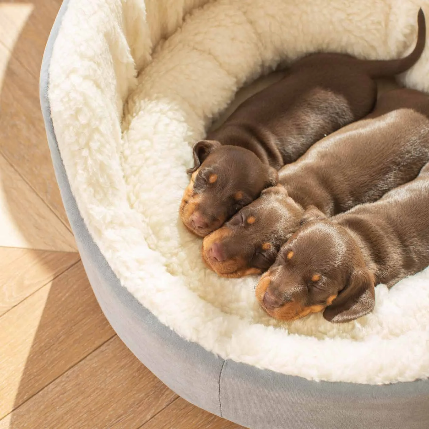 Grow With Me Puppy Bed in Grey by Lords & Labradors - Image 2