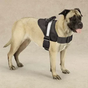 Guardian Gear Excursion Harness X-LARGE 36-46In Black