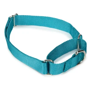 Guardian Gear Nylon Martingale Collar 10-16In BlueBird