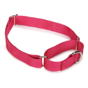 Guardian Gear Nylon Martingale Collar 10-16In Raspberry
