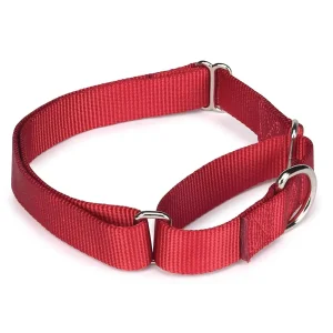 Guardian Gear Nylon Martingale Collar 10-16In Red
