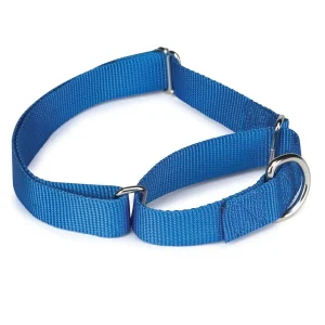 Guardian Gear Nylon Martingale Collar 14-20In Blue