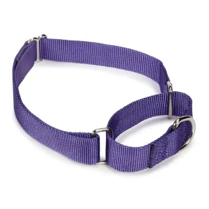 Guardian Gear Nylon Martingale Collar 18-26In Ultra Violet