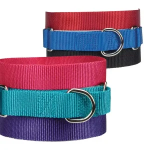 Guardian Gear Nylon Martingale Dog Collars