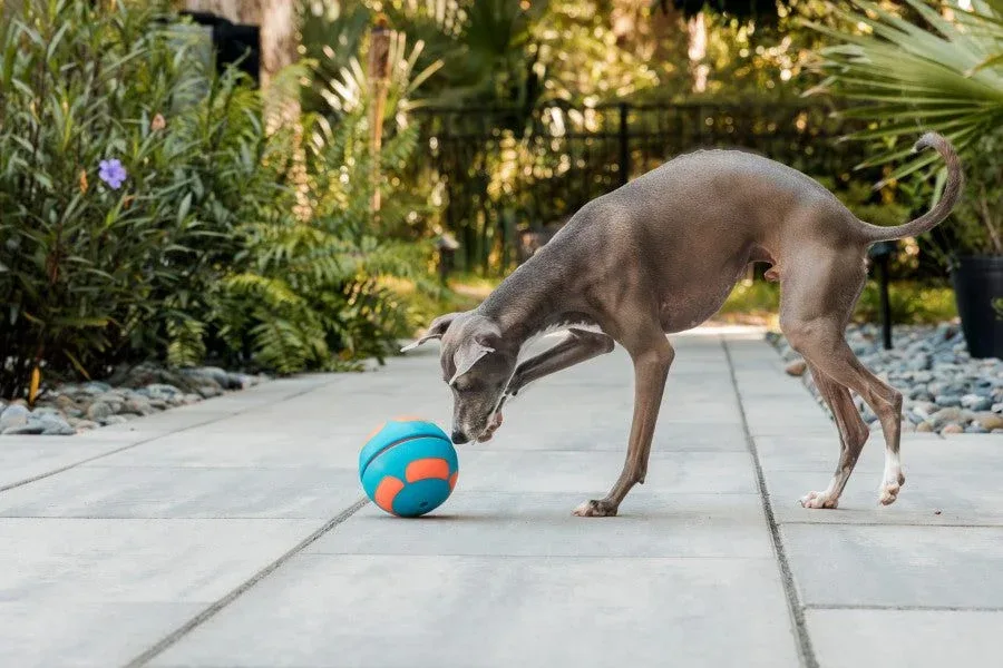 GURU Bobble Ball Slow Feeder Dog Toys for Interactive Play - Image 2