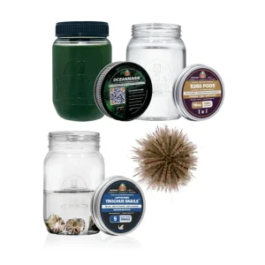Hair Algae Killer Kit - Oceanmagik, 5280 Pods, Trochus Snails - Algae Barn