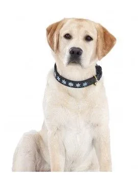 Halo Snowflake Leather Dog Collar