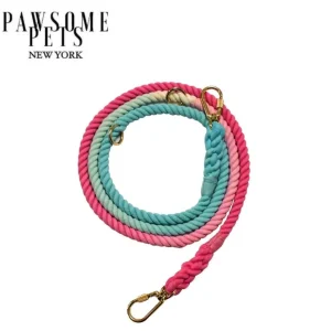 Hands-Free Dog Rope Dog Leash - Fairytale