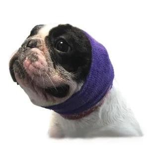 Happy Hoodie Singles Purple Small