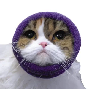 Happy Hoodie Singles Purple XS