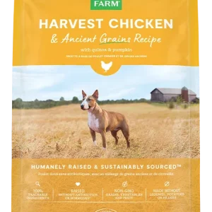 Harvest Chicken & Ancient Grains Dog Kibble