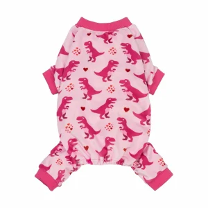 Heart-Eyed Dinosaur Dog Pajamas