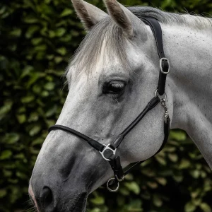 Hennaroso Rolled Anatomic Leather Head Collar Black