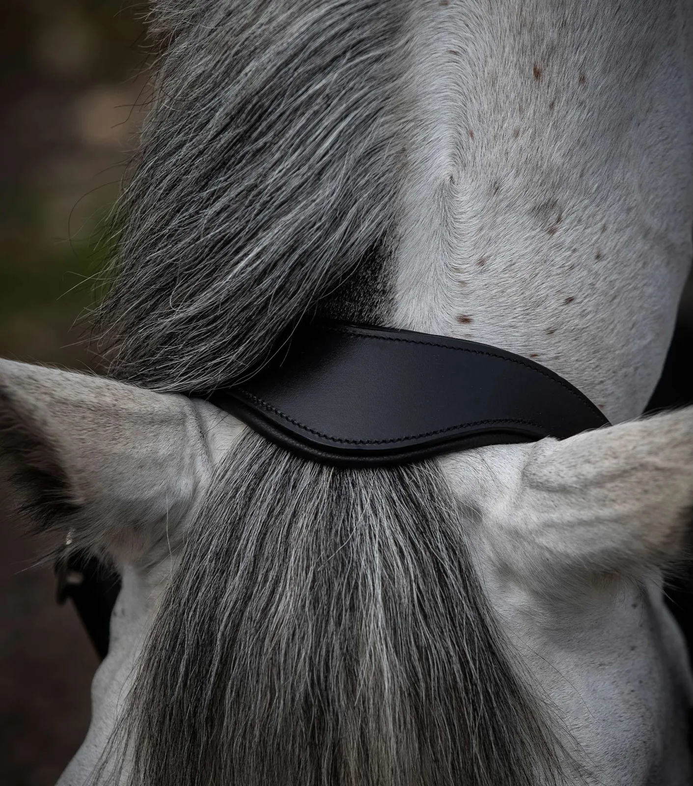 Hennaroso Rolled Anatomic Leather Head Collar Black - Image 2