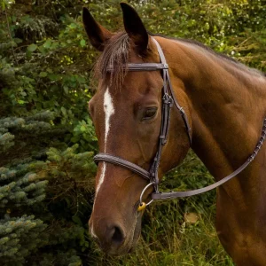 Henri de Rivel Advantage Fancy Raised Padded Bridle - Premium Leather Show Bridle with White Stitching & Laced Reins