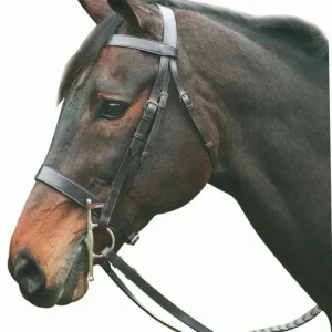 Henri de Rivel Advantage Hunt Bridle - Premium Leather Foxhunting Bridle with Laced Reins