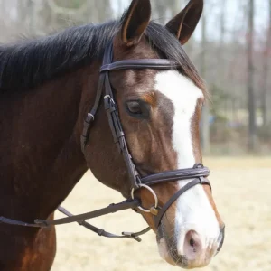 Henri de Rivel Kushy Bridle with Detachable Flash - Soft Padded Comfort Bridle with Mono Crown & Laced Reins
