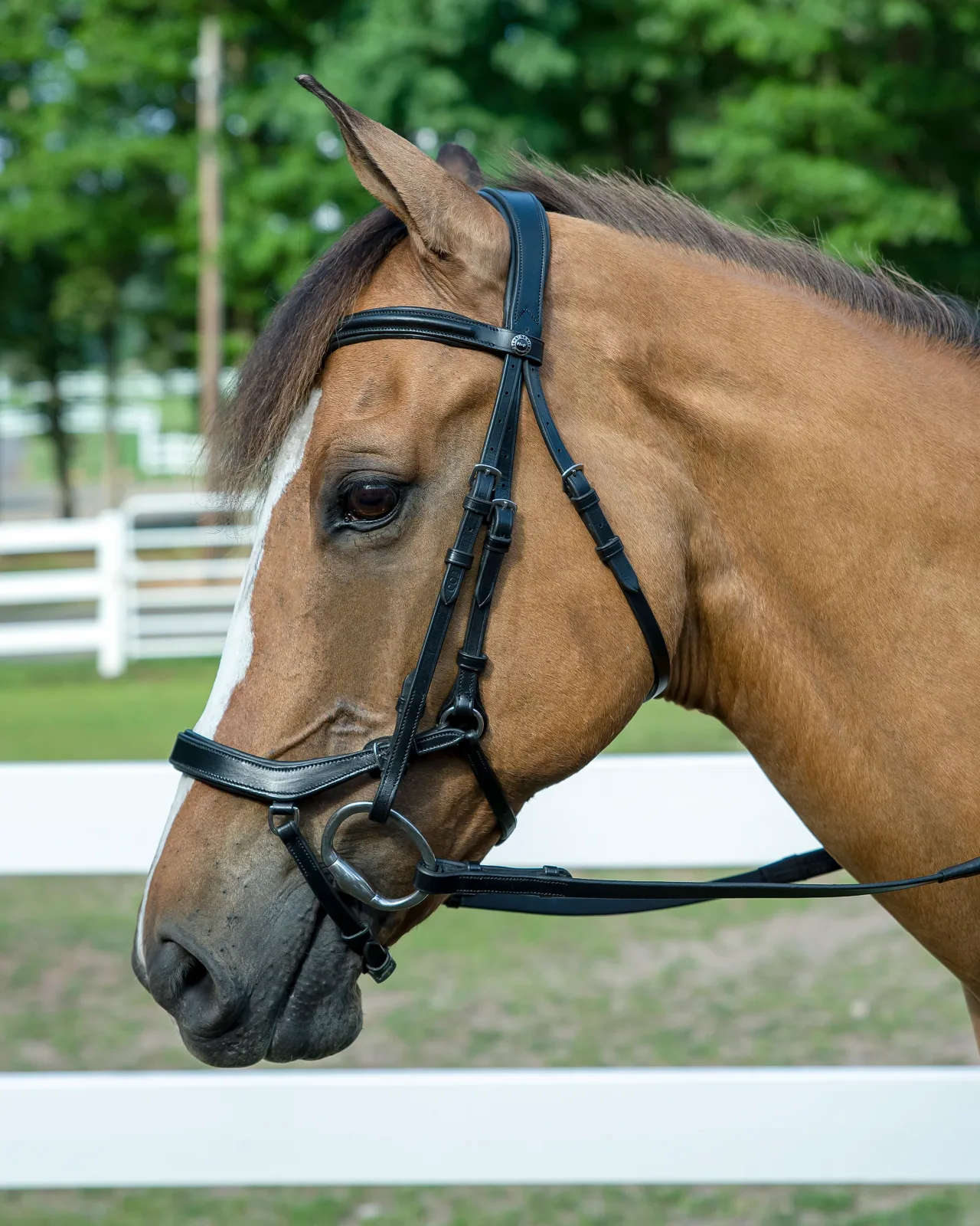 Henri de Rivel Pro Anatomical Bridle - Image 2