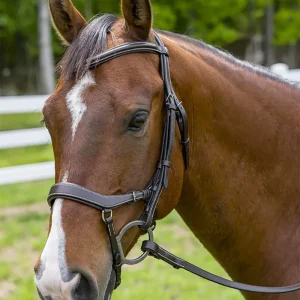 Henri de Rivel Pro Anatomical Bridle