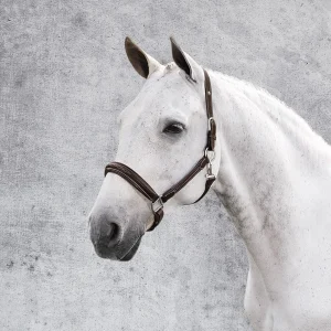 Henri de Rivel Stress Free Halter with Fancy Contrast Stitching