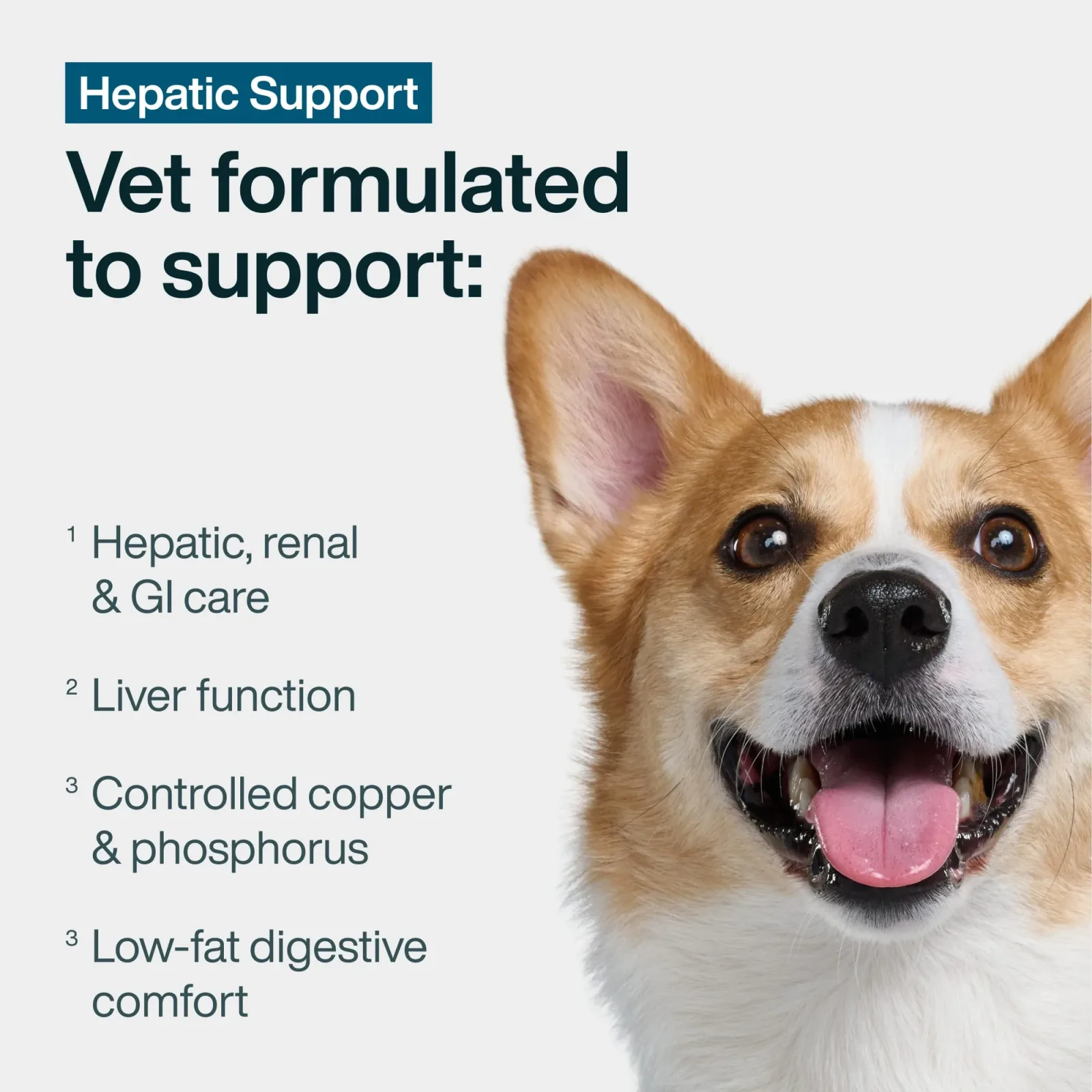 Hepatic Support Low Fat - Image 2