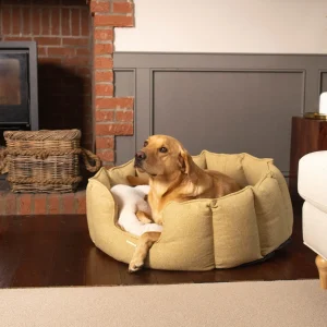 High Wall Bed With Removable Covers in Honeysuckle Orkney Tweed by Lords & Labradors